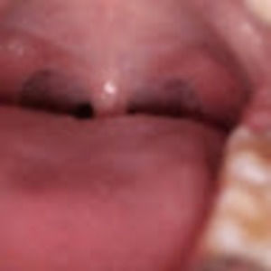 Meet your Posher, Heidi